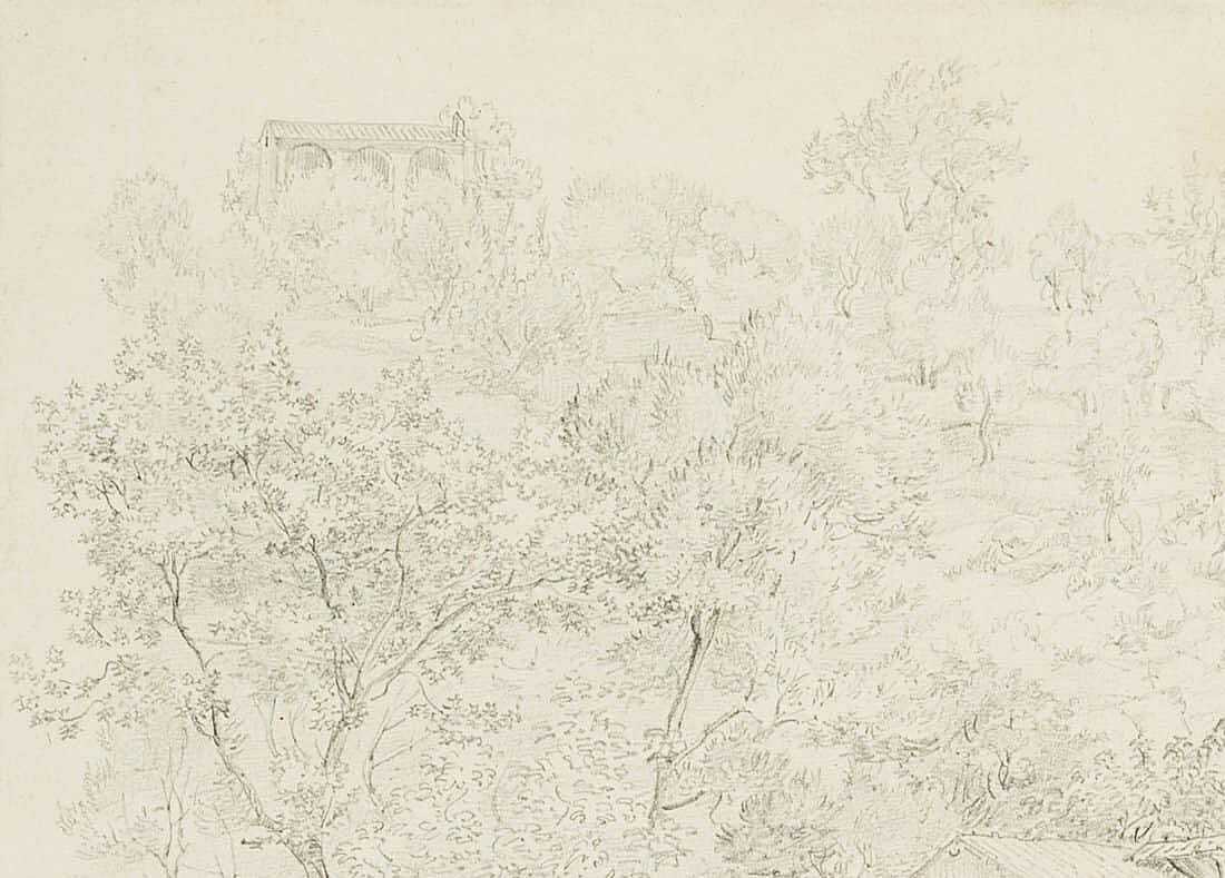 Picture 4 of 7