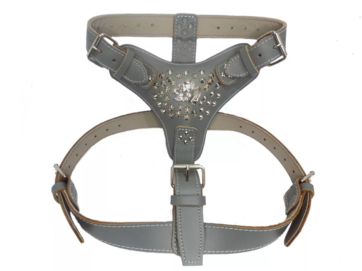 American bully harness top
