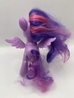 Foto 6 di 16