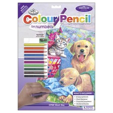 Royal  Langnickel Color Pencil By Number Kit 8.75"X11.75"-Wash Day Fun
