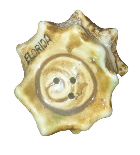 Keramik Muscheln - Muschelschale Salz und Pfefferstreuer - Florida - Bild 3 von 10