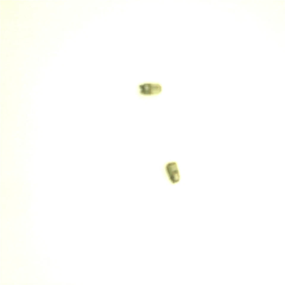 2 Pieces Rotating shaft Hinge Axle Axis for Game Boy Advance SP GBA SP Console - Image 4 of 4