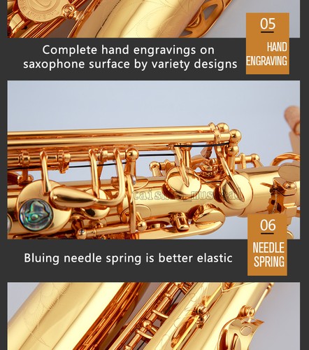 Professional TaiShan 5000 Alto Eb Saxophone Abalone Gold Sax Engraving Bell NEW - Picture 8 of 9