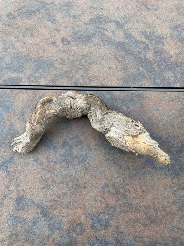 Natural Driftwood for Plants Terrarium Taxidermy Art Projects