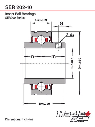 SER202-10 Insert Bearing 5/8" Bore, Cylindrical OD, Snap Ring, Set Screws (Qty1) - Picture 3 of 8