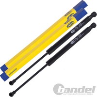 2 Magneti Marelli Gasfedern Kofferraum FüR Nissan Qashqai Qashqai +2 Heckklappe