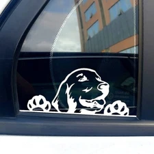 Golden Retriever Peeking White Vinyl Decal Car Truck Windows Laptop Camper RV