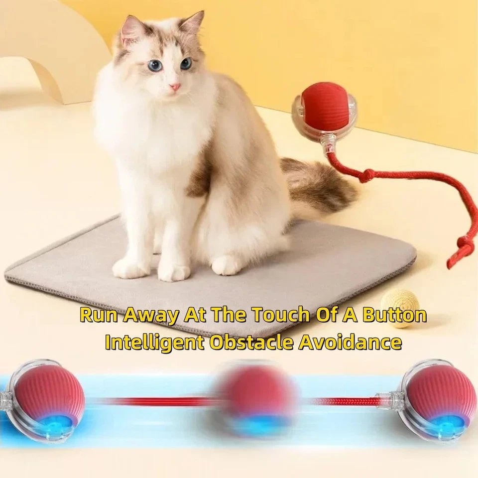 Automatic Rolling Ball Smart Cat Dog Toy Electric Pet Selfmoving Kitten Game Lot - Image 4 of 4