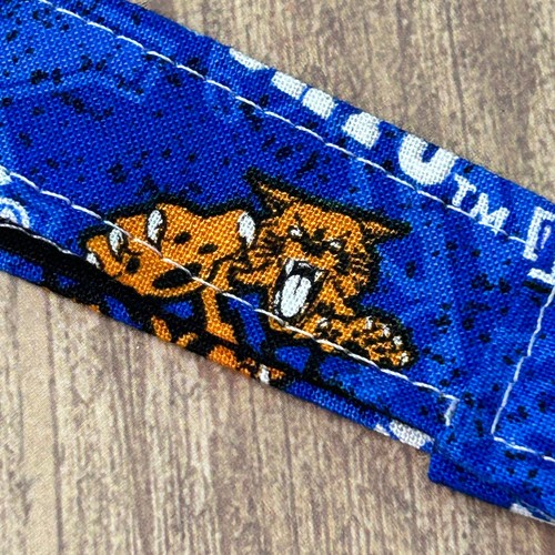 University Kentucky Wildcat Scratch inspiriert Schlüsselanhänger Strumpf Füller Abschluss Geschenk - Bild 3 von 5