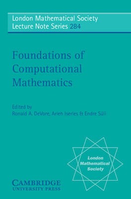 Foundations of Computational Mathematics by DeVore Iserles Suli (English) Paperb