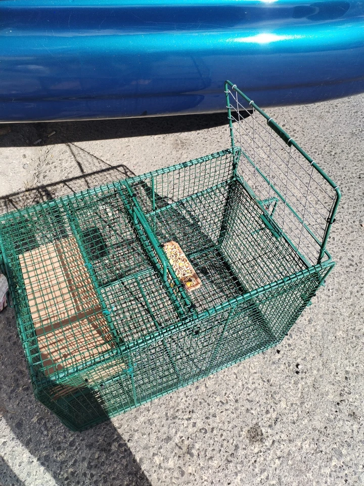 Smart Bird Trap with Automatic Drop Door –Humane & Effective Catch Cage Pigeons - Image 3 of 4