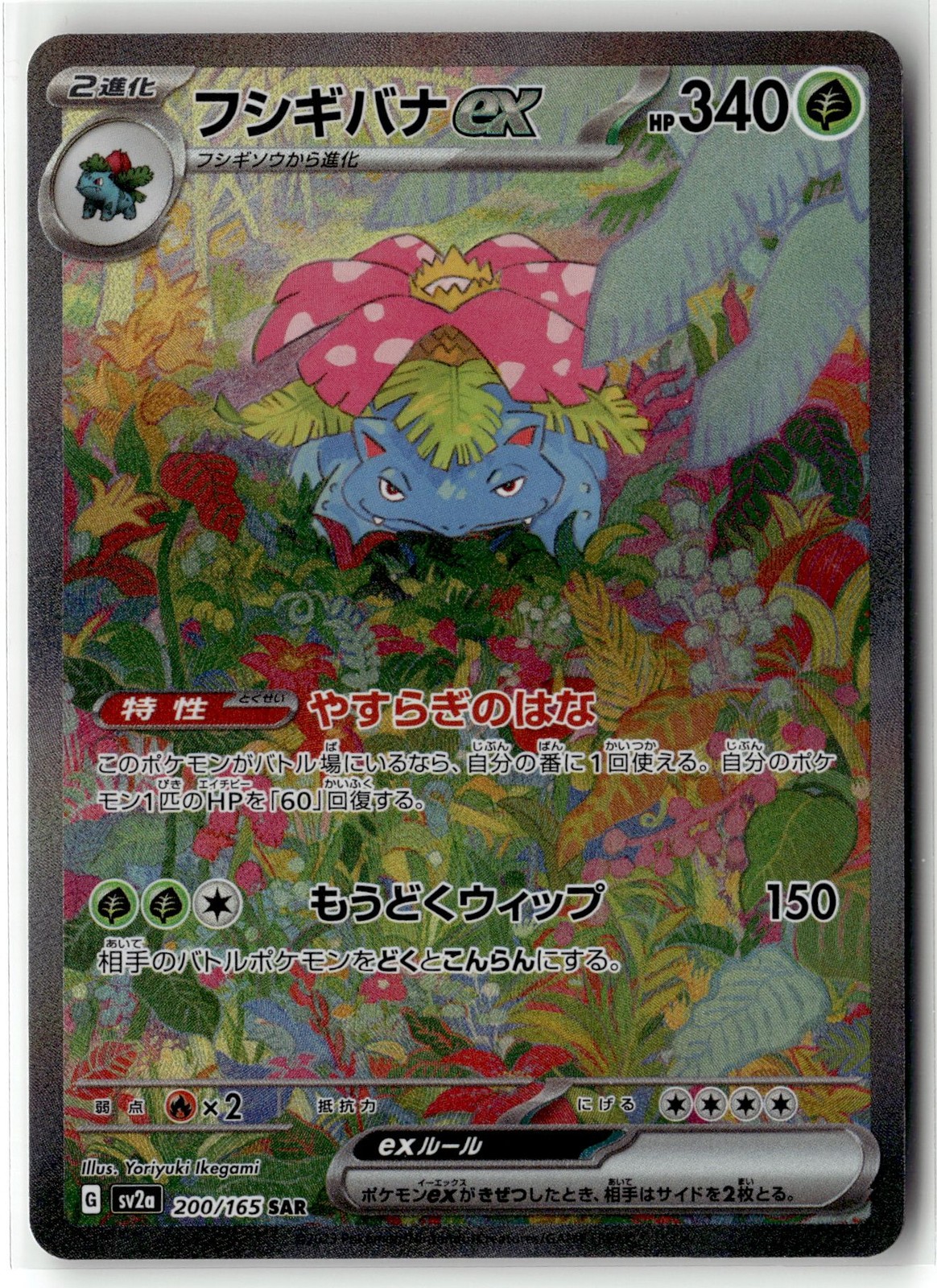 Venusaur EX ⭐️ 200/165 Holo Special Art Rare 151 2023 Pokemon Japanese NM