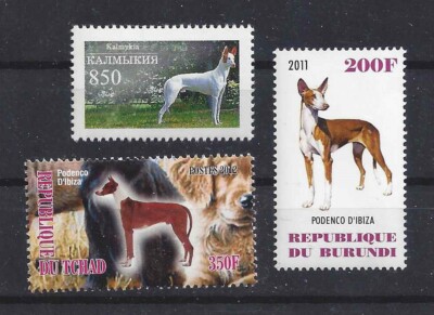 Rare Dog Art Photo Postage Stamp Collection IBIZAN HOUND 3 Different Body MNH