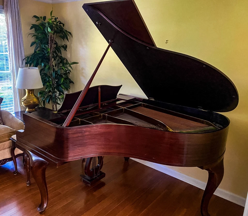 Piano de cola clásico y elegante Bechstein 5'9"" modelo L Foto 3 de 4