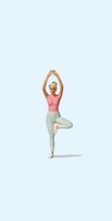 Preiser 45523 Yoga 1:22,5 / Spur G