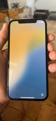 iphone 12 256gb 