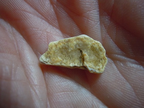 Piedra calcedonia de cuarzo ojo blanco gema translúcida como se encuentra Kansas 3,4 quilates - Imagen 2 de 12