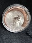 Foto 7 di 8