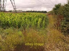 Photo 6x4 Bird Friendly Field Corner near Manor Wold Farm Horkstow Wolds  c2010