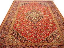 8x11 Perrsian Kashaan Rug Classic Traditional #PIX-7047