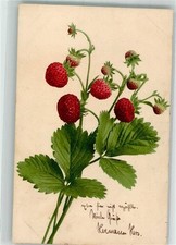 39678956 - Walderdbeeren Verlag Martin Rommel u. Co. Nr. 701 Frucht, Gemuese