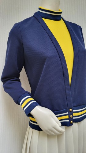 2 Piece Vintage 60's Mod Double Knit JACKET & Pleated Skirt DRESS - Size S - EUC - Picture 9 of 14