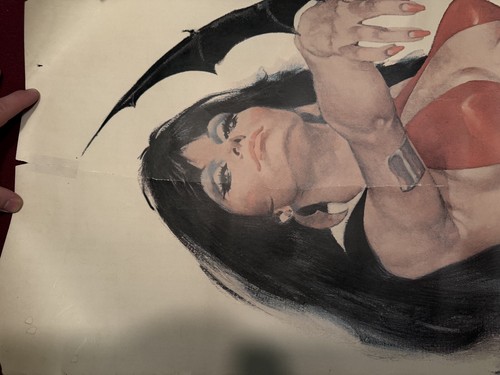 Vampirella Poster Large 75” x 24” Warren Door Panel 1972 - Bild 2 von 10