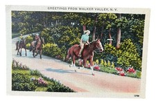 WALKER VALLEY, NEW YORK NY~Greetings From Vintage Linen Postcard Women on Horses