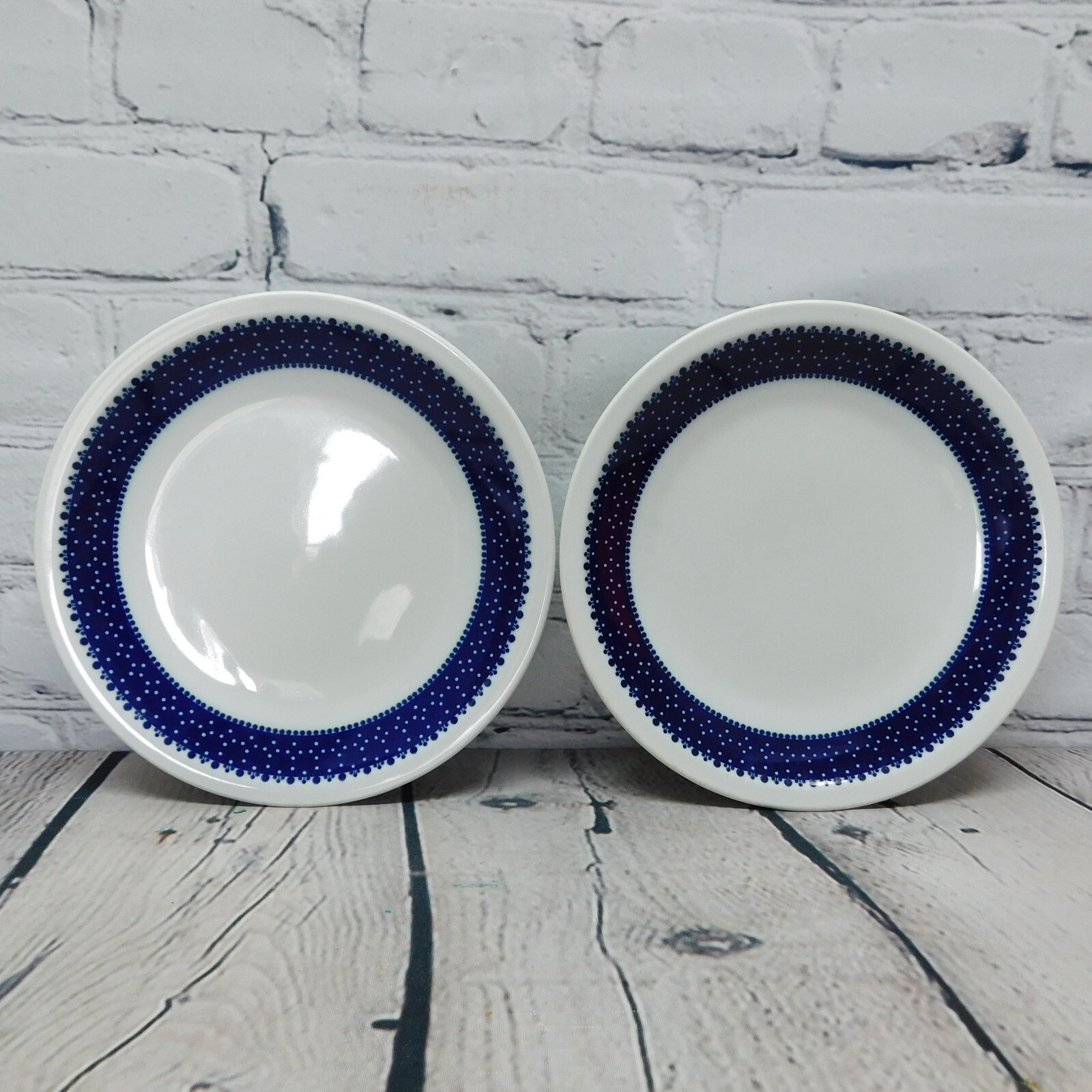 VTG Lot of 2 Schonwald Germany Decorated Edge Blue Round 7.5