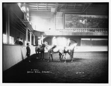 Basketball Durland's: A goal played on horses c1900 Large Historic Old Photo