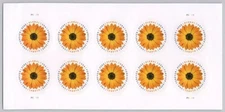 USA 2022 Stamps Global Forever African Daisy Sheet of 10 " LAST  ONE"