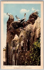 Antique Postcard Nests Marrakesh Medina Walls Maroc, Morocco 1910s