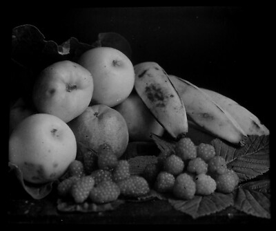 ANTIKE magische Laterne Dia FOTOGRAFIE STUDIE DER OBSTE UM 1920 FOTO 