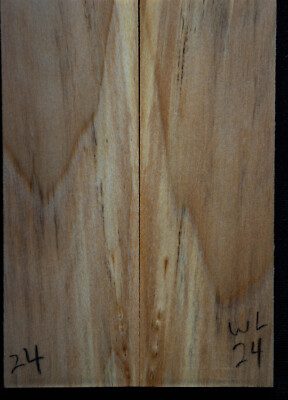 Willow #24 Knife Scales 5''x1.75''x 7/16''see 100 woods in my store