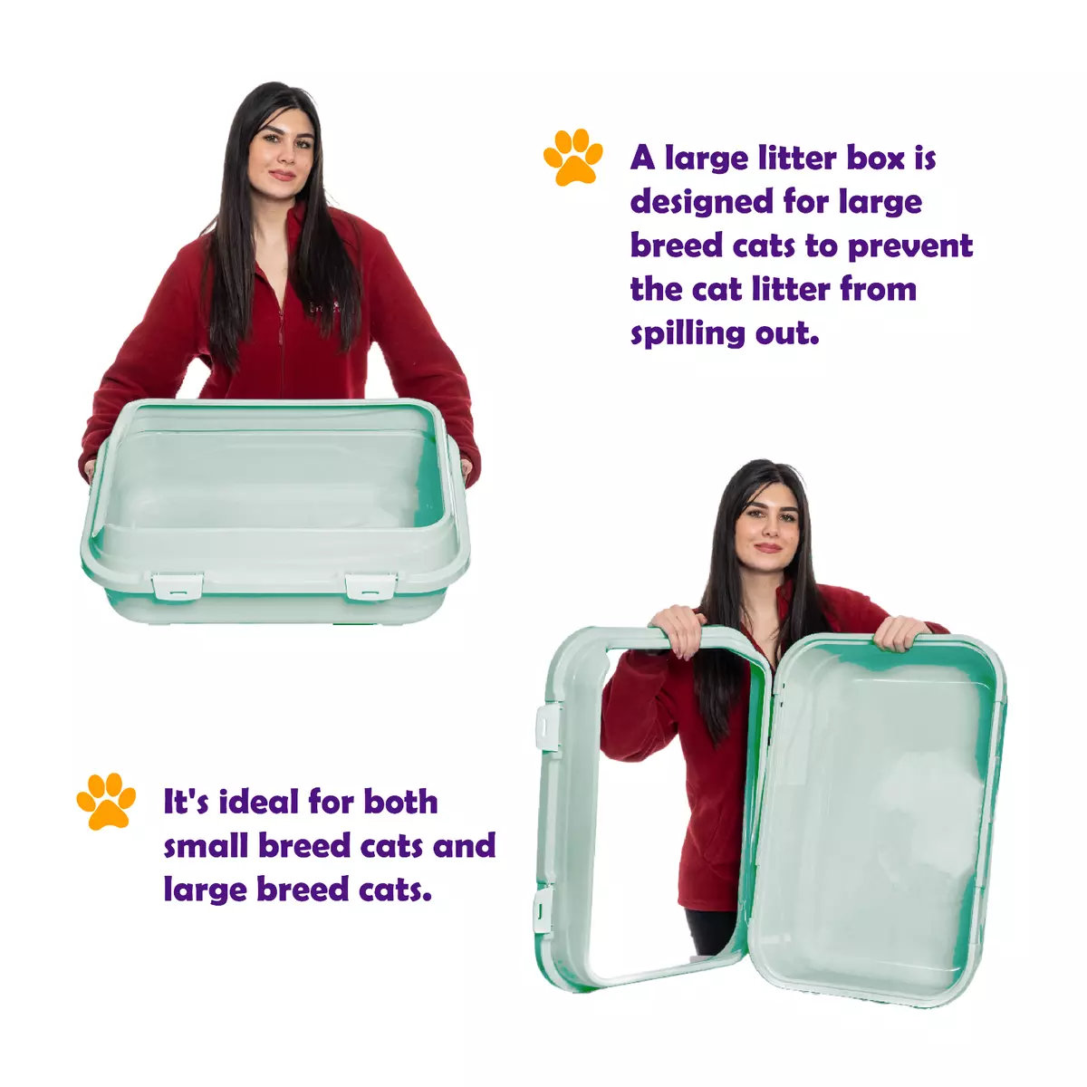 Litter boxes for top large breed cats