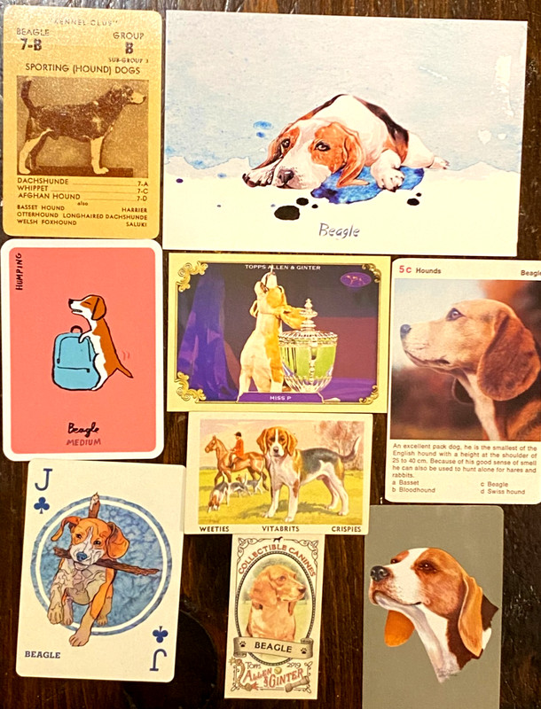Vintage Dog Paper Collectibles - Beagle