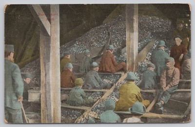 Slate Pickers Breaker Boys Scranton PA Coal Mine Horror 1909 Postcard
