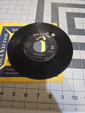 Al (He's The King) Hirt Mister Sandman 45