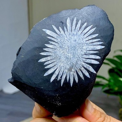 445G Natural chrysanthemum stone quartz carving aura healing gift