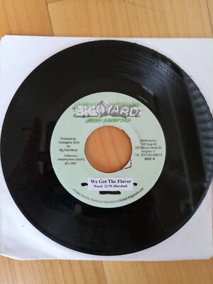 WARD 21 & WAYNE MARSHALL - WE GOT THE FLAVOR *** WILD 2 NITE riddim 