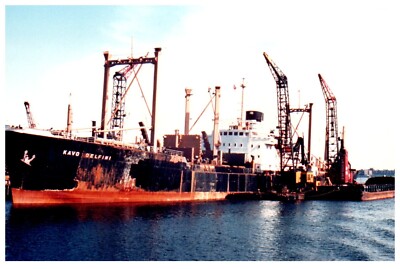 Kavo Delfini (1960) Cargo Ship Original Photo Vintage 4x6'' IMO 5337630 c 1970's