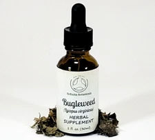 BUGLEWEED Herbal Supplement / Liquid Extract Tincture / Lycopus virginicus Herb