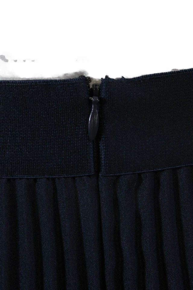 Falda Charlotte Brody Mujer Cremallera Lateral Acordeón Plisada Midi Línea A Azul Marino Talla XS Foto 4 de 4