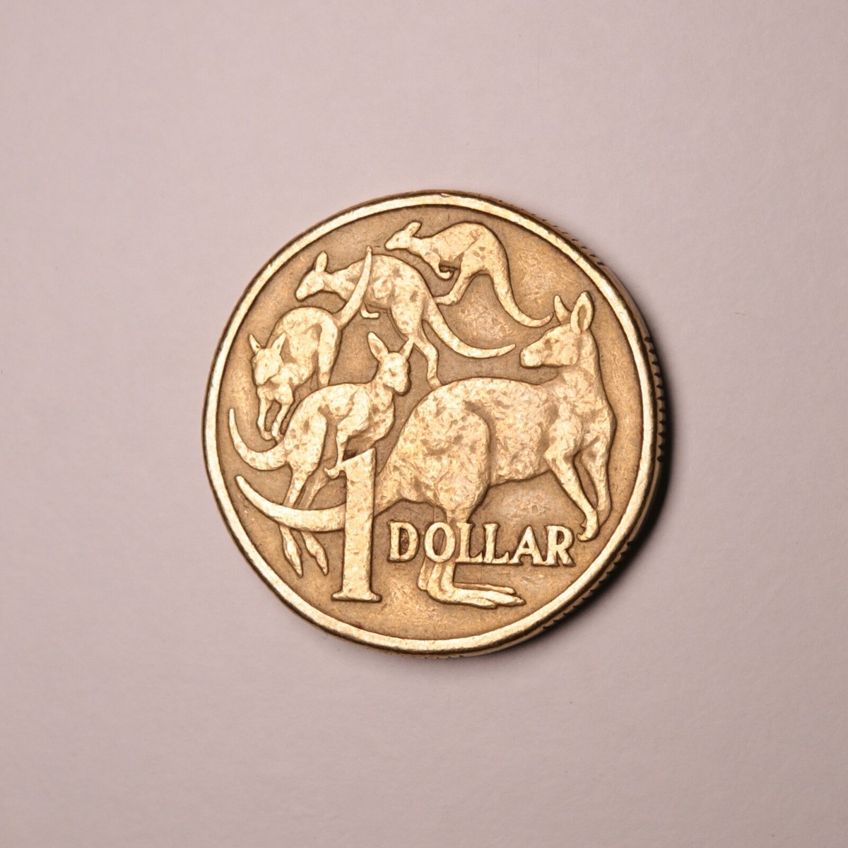1984 Australian 1 Dollar Coin - Rare & Collectible - A Must Have 1984 Australian 1 Dollar Coin - Rare & Collectible - A Must Have