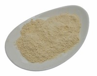 (40,80Eur/Kg) Sena-Premium Gemahlenes Quassiaholz (500G)