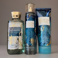 Bath  Body Works SALTWATER BREEZE Fragrance Mist Spray  Body Wash  Cream 52