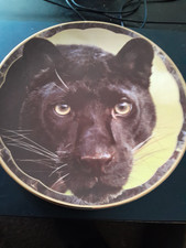 Black Panther Royal Doulton Bone China Plate by Compton & WoodHouse