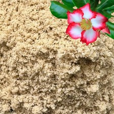 Fine Sand for Plants Horticultural Sand - Succulents Cactus Terrariums