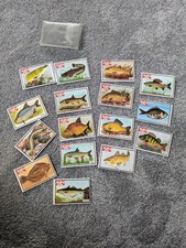 Angling Times 1987 Collect-A-Card -VGC 16 cards