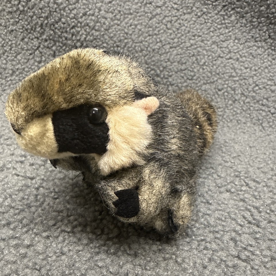 Reaccon Puppet Folkmanis Mini Raccoon Finger Puppet | eBay